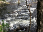 IMG 4618